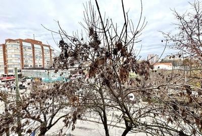 Apartament 1 camera, boem, chiar in centrul Timișoarei - 13