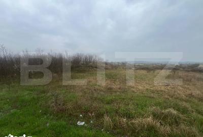 Teren de 4650 mp, în Almăj - 1