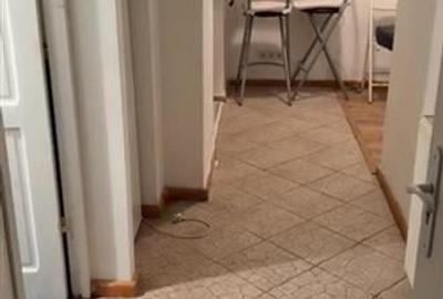 Inchiriere  garsoniera, 25 mp,  situata la demisol, zona Grivitei - 4