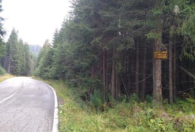 Teren în Vidra - 6
