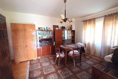 Casă individuală cu 4 camere cu Teren 3892 Mp în Baia de Criș - 7