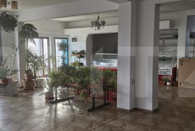 ???? Spa?iu comercial oportunitate BUSINESS | Gura Ocni - 1