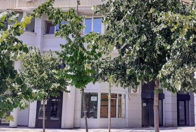 Proprietar,  închiriez spațiu comercial pe bd Decebal - 1