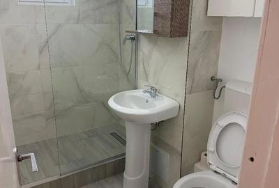 Apartament cu 2 camere semidecomandat în Lugojului - 3