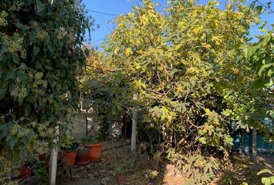 Jurilovca, de vânzare casa de vacanță - 4