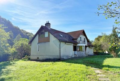 Casa de vanzare in Savarsin - 3