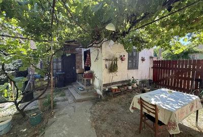 Casa veche cu teren de 2585 m - Biharia Casa veche cu teren de 2585 m - Biharia - 3