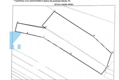 Teren Intravilan, 19400mp, zona locuinte colective/blocuri, zona Terra Floresti - 2