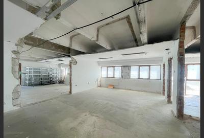 Spatii multiple pentru inchiriat Calea Timisoarei - 10