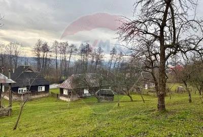 Casa traditionala+anexe gospodaresti in Giulesti Maramures - 6
