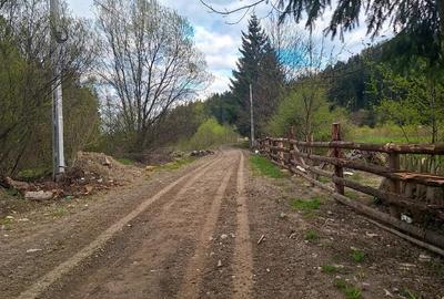 Teren de 21000 mp, în Slatina - 6