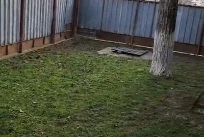 Casa vanzare -Cioranii de jos ,Prahova . - 7