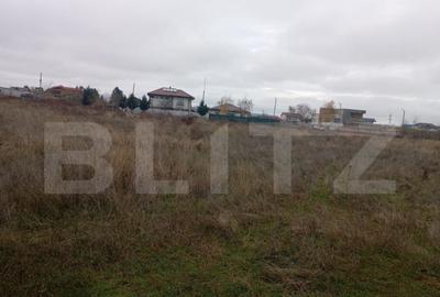 Teren 9.000 mp in Priseaca Intravilan + Extravilan, apr - 3