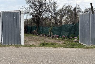 Casă cu 3 camere în Muncelu - 1