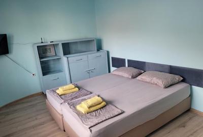 Grasoniera de inchiriat zona Florilor - 2