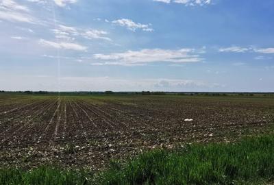 Comuna Vidra  -16.000mp, dublă deschidere 51 m,  curent, gaz la stradă - 2