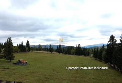Teren de 16813 mp, în Fundu Moldovei - 2