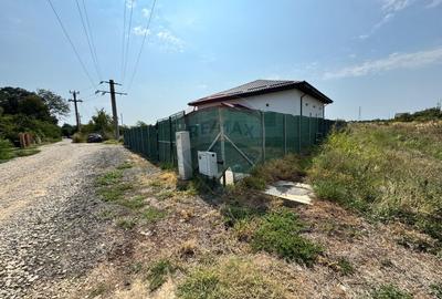 Vanzare teren intravilan 1,000mp Strada George Cosbuc/ Peris - 2