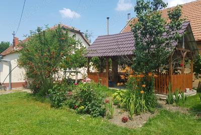 Casa spa?ioasa cu teren generos in Deta - 4