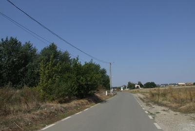 Domnesti-Salciei-stradal - 8