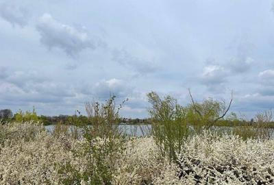 Teren de 4635 mp, în Samurcași - 2