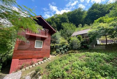 Casa de vacanta cu 4 camere, 1470 mp teren, Sugag - 1