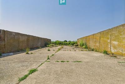 Spațiu industrial, de 700 mp, în Orțișoara - 4