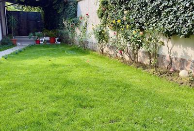 Vind vila central - 3