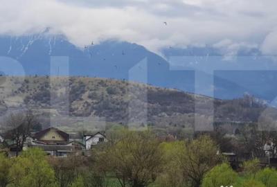 Apartament cu 2 camere semidecomandat, mobilat în Tohanu Vechi - 3