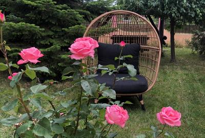 Casă individuală cu 6 camere cu Canalizare în Cornetu - 34