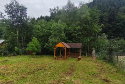 Casa de vacanta , zona Soarecului , Marginea - 22