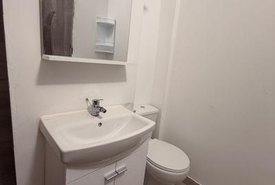 Apartament 2 camere | Tei - 14