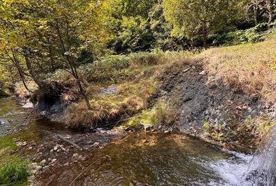 Vila Premium de Vanzare in Cheia, Prahova-Oaza de Relaxare si Investitie - 28