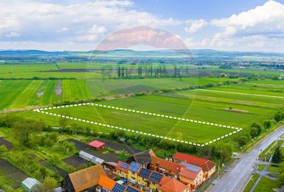 Teren agricol extravilan de 10000 mp, în Prejmer - 3
