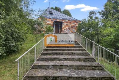 Cornu, Vedere la Padure, Vila D+P+M, 6600mp teren, 4 parcare - 14