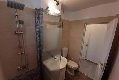 Inchiriez apartament 2 camere decomandat zona piata nicolina - 3