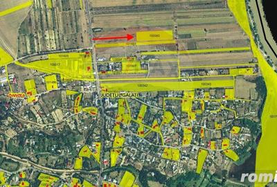 Teren de 7000 mp, în Oancea - 6
