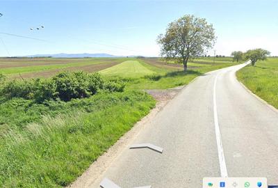 Teren agricol extravilan de 4500 mp, în Roșia - 12