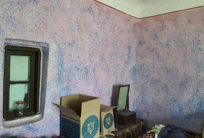 Cetatuia, com. Gaujani, jud. Giurgiu - 5