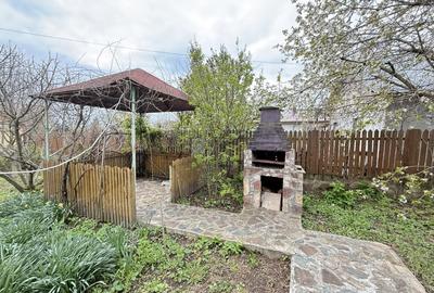 Snagov Izvorani casa locuibila cu livada de pomi fructiferi - 4