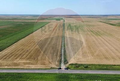 Teren de 1486280 mp, în Măicănești - 4