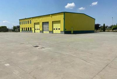 Spațiu comercial, de 600 mp, în Pecica - 11