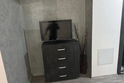 Garsonieră semidecomandată în Dudu - 4