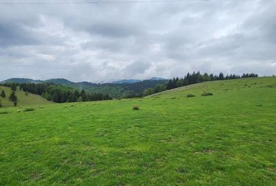 Parcele de vis in munti - Zona Arka Park, cu drum de acces si PUZ aprobat - 8
