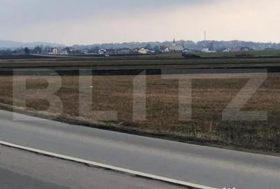 Teren de 30000 mp, în Central - 2