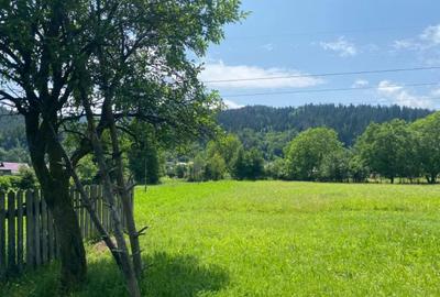 Casă cu 3 camere în Vad - 5