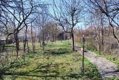 Casa alipita, singur in curte, 90 mp utili, anexe, teren 625mp, Db Rotund - 3