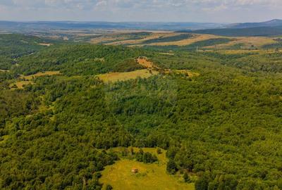 COMISION 0% Teren Grid/Inima Naturii/ Oportunitate de inv... COMISION 0% Teren Grid/Inima Naturii/ Oportunitate de inv... - 16