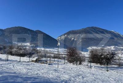 Teren de 1000 mp, în Tohănița - 2