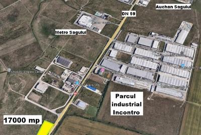 Teren Construcții extravilan de 17000 mp, în Șagului - 2